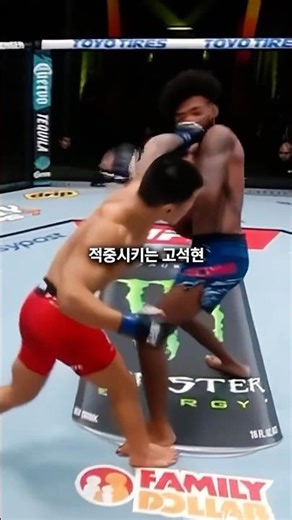 한국산 마카체프? 압도적인 경기력의 고석현 vs 필립 로우