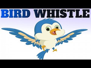 Sound To Attract Birds | Bird Whistle