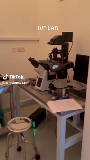 Exploring the ECS Machine in IVF Processes