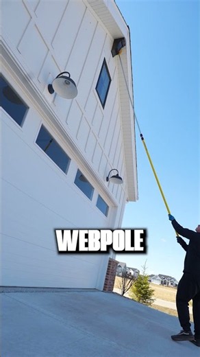 How Pest Control Pros Remove Wasp Nests!