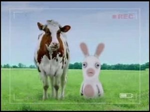 Rayman rabbits scream