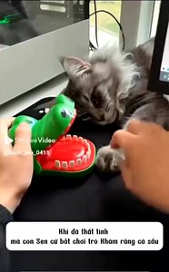 84K views · 454 reactions | Game Replay Mobile on Reels | Facebook