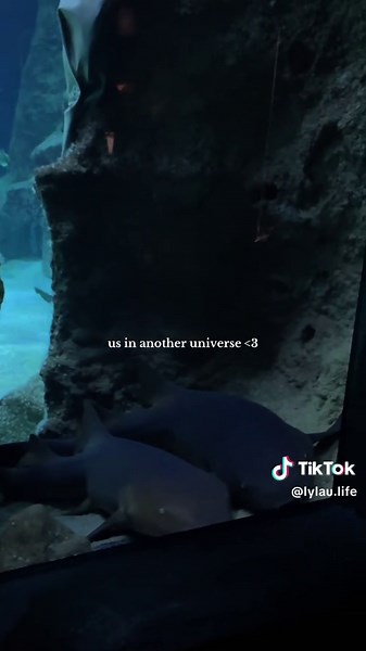 @Arlo ❤️ #usinanotheruniverse #us #love #couple