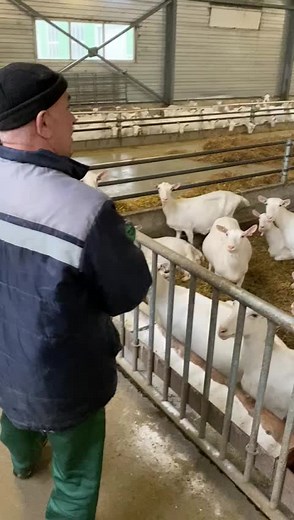 userАнюта on TikTok