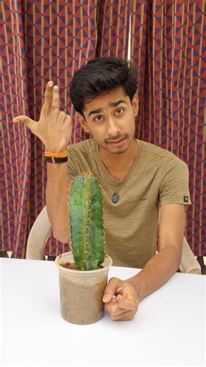 Cactus Remover Experiment #shorts #experiment