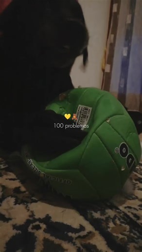 #CapCutFamília #CapCutAmor #CapCut