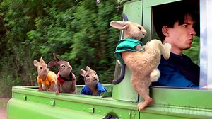 4.1M views · 127K reactions | Peter Rabbit's best funny scenes | Boxoffice Movie Scenes | Facebook