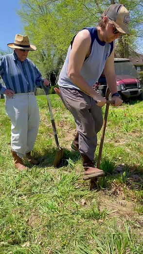 2.6K views · 71 reactions | Planting oaks & more today with the handy dandy dibble tree planter! These #oak #trees were compliments of our local KY Division of Conservation office, Hart County Conservation District, with trees from the Kentucky Division of Forestry. We love our local tree give away day! #kentuckyfarmlife #farmlife #farm #kentuckyproud #farming #usforestservice #dibble #oaks #forest #conservation | Kentucky Farm Life | Facebook