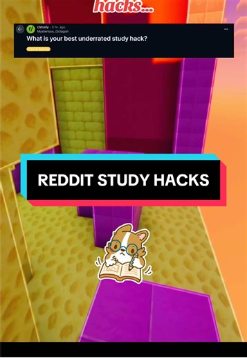 REDDIT STUDY HACKS: Tips for Academic Success