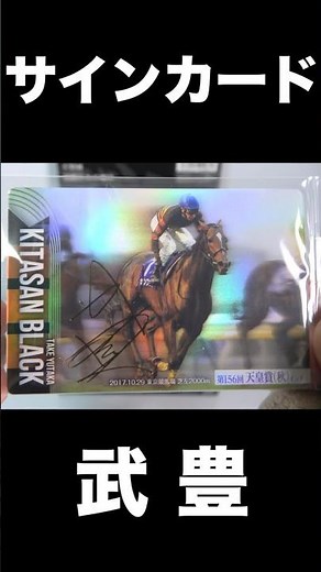 Thoroughbred Horse Collection Twin Wafers Horse Racing Card Japanese candy toys