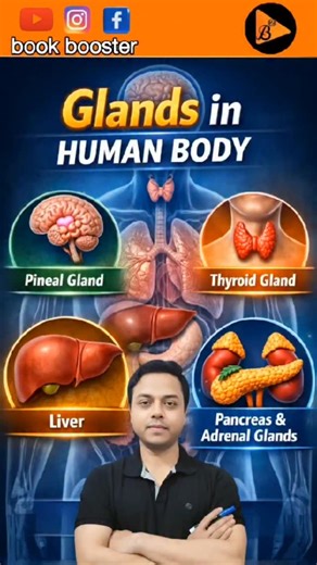 Book Booster | Endocrine & Exocrine Gland #biology #science #glands #gk #reels | Instagram