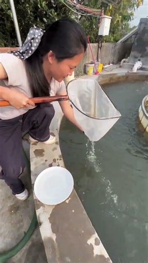 (Grass Carp Fry Breeding Secrets: High Survival Rate Tips)”*#shorts