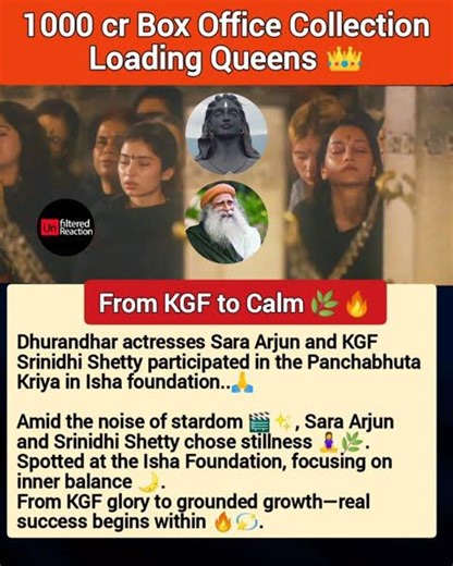 1000 cr Box Office Collection Loading Queens 👑 #dhurandhar #kgf #saraarjun