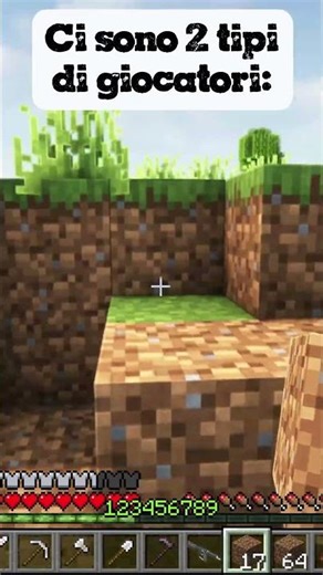 Ci sono 2 tipi di giocatori: #minecraft #minecraft #meme #funny #games