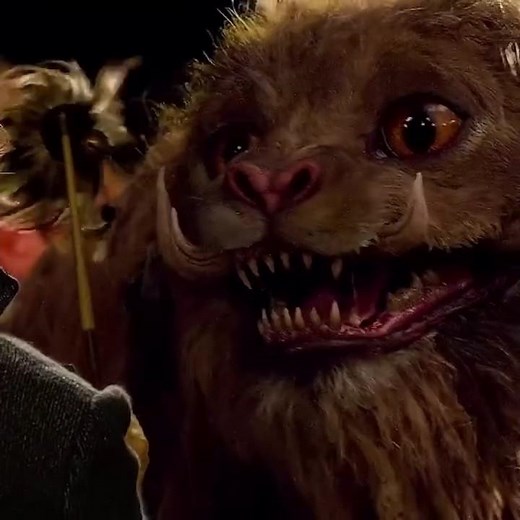 Fantastic Beasts and Where to Find Them #movie