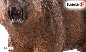 Watch Schleich Grizzly Bear Toy Figure on Amazon Live