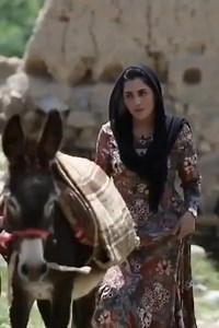 #pashtosongs #Pashtodance #pashtoreels | Pashto Music Songs