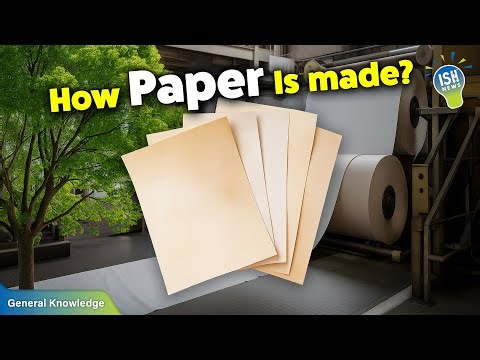 How is Paper Really Made? | ISH News
