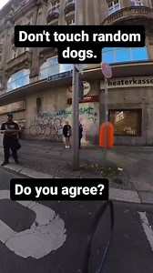 Don't touch random dogs. If they bite you, it's your fault. #rundawg #mobiledoggym #dogexercise | Run Dawg