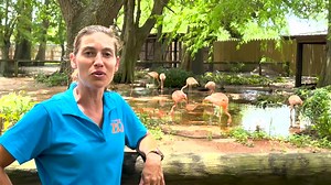 64 reactions · 3 comments | Are you making plans for the holiday weekend? Join us Memorial Day Weekend and make the best memories with your family! And here are 5 Fun Things to do on your next visit to the Gulf Breeze Zoo! | Gulf Breeze Zoo | Facebook