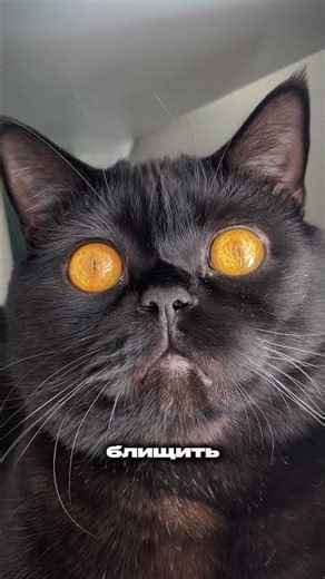 🔞 Зима красива, але …. 😱