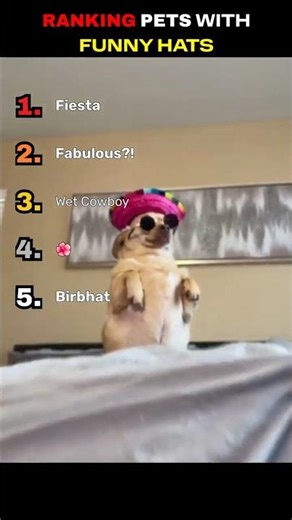 Ranking Pets with Funny Hats 😂🐶🐱🦆 | Cutest & Funniest Pet Moments #shorts