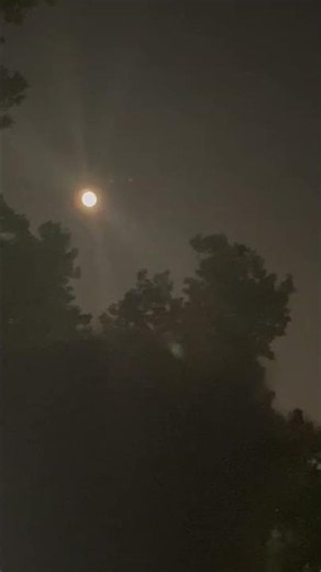 #FullMoon Night Walk with Devotees ‪@gurudev‬ #WashingtonDC