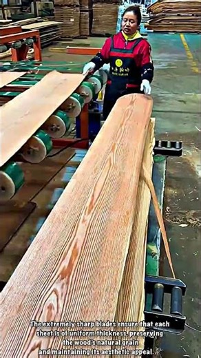 Natural Wood Veneer Sheet Production