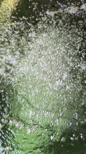 Contoso Motion (@contoso.motion)’s videos with original sound - Contoso Motion