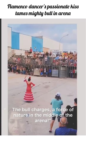 Flamenco dancer's passionate kisstames mighty bull in arena