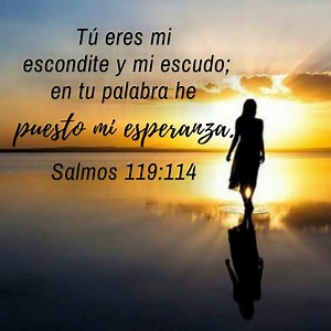 Christian phrases of motivation, encouragement and reflection ▷➡️ Postposmo