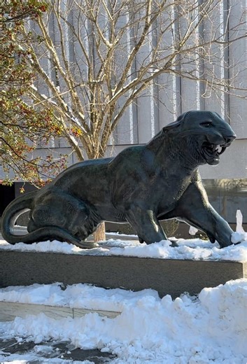 Exploring Cats and Castles at Princeton University