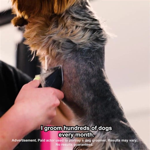 1.1K reactions · 16 shares | The Dodo on Reels | Facebook