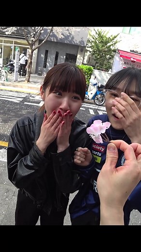 벚꽃마술2편 #성북TV #쇼킴매직 #성신여대 #스펀지마술 #거리마술 #추천 #streetmagic #streetmagicreactions