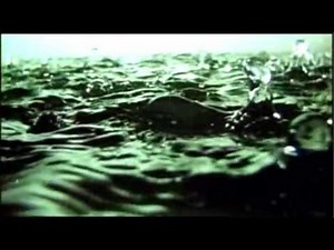 地球の誕生から現在まで 6