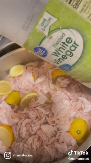 HEAR ME OUT! Cuz I know y’all loveeeeee to tussle. Chitterlings can be very tasty with the correct preparation! I’m a southern girl and I love me some chitlins on a late lonely night cuz who else gone eat em with me🤣. Recipe in the comments💜🤞🏾#chittelings #cajunchitterlings #yummy #soulfood #tasty #mamatecias #tuesdays #explore #explorepage✨ #htx #shaderoom #chitlins #foodie #recipes #art #love #houston #houstontx