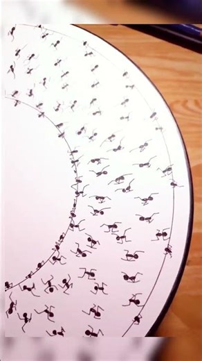 Circle Illusion Drawing That Tricks Your Eyes 😱 Easy 3D Optical Illusion Art Tutorial for Beginners