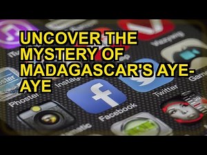 The Secret World of Aye-Ayes: Unveiling Madagascar's Most Mysterious Lemur