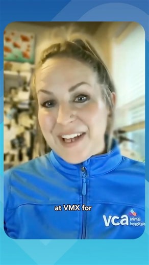 VCA on Instagram: "🚫✋ Hands-free is the future of radiology! Discover how to cut exposure, ease patient stress, and get sharper images - all with techniques you can use immediately. Join us for Protect Your Team, Perfect Your Image: Hands-Free Radiology Register at the link in story"