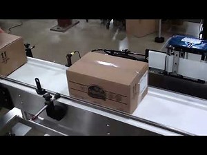 3600a CARTON LABELING LEADING EDGE SWING TAMP