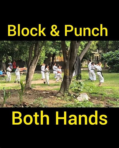 #block #punch #karatetraining
