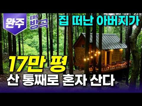 [전북 완주] "비현실적으로 살고 싶다" 지도에도 안 나오는 산골짜기 아무도 안 산다길래 원룸 한 칸 올려 17만 평 숲에 홀로 사는 남자｜편백숲｜트리하우스｜#한국기행 #방방곡곡