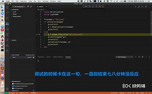 julia vscode 插件调试问题