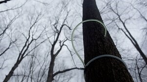 How Do They Do It?: Season 14 Episode 7 ?: Fertilizer, Maple Syrup