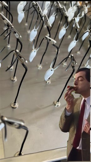 2025 is on its way out, and we are grateful for you all without a doubt. You keep us going and we enjoy every adventure you take and share with us. We pray 🙏 you all have a wonderful and blessed new year. We have some new things in works, so please stay tuned #fylpシviralシ #grow #entrepreneur #explore #foryoupage