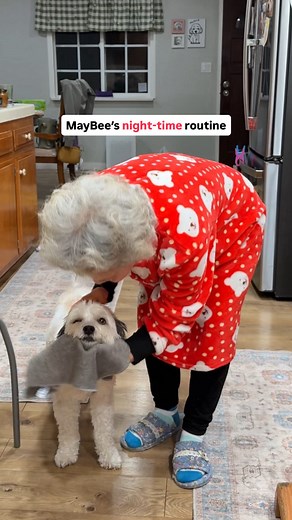 Here is MayBee’s updated night time routine featuring Open Farm foods! We do this everyday where she ends her night with a good meal and a quick grooming session. Tap the link in our bio for FREE gifts with your Open Farm purchase this Black Friday and Cyber Monday. #OpenFarmPartner @openfarmpet #ad | Ahnest Kitchen
