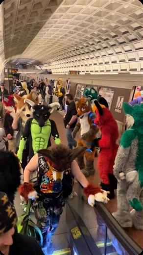 DMV THE MOVE on Instagram: "Spotted in the DC metro 🎥 by dylandbeforetime / TikTok Follow @dmvthemove for more!"