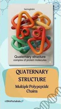 4 Levels of Protein Structure You’ll Never Forget🍀| Protien structures in 2 min⚡| N to C explained🙌