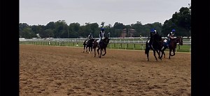 Partnership Opportunity - 2yo New York Bred Filly Debuting Saturday:...