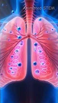 Your Heart, Brain & Gut Are Crying for This #wellness #humanBody